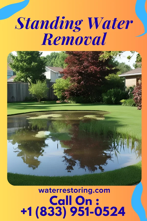 Standing Water Removal in Crowell, TX